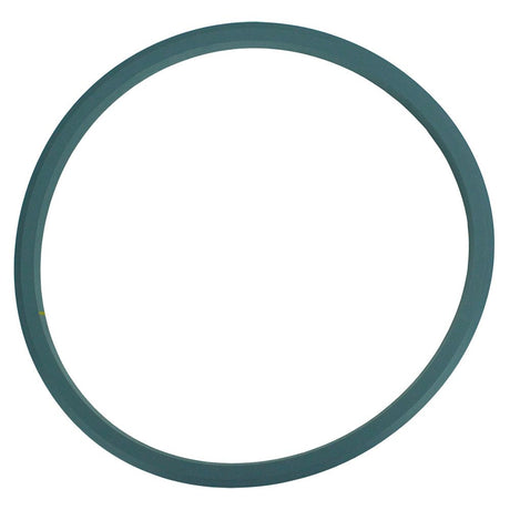 Neo-Pure Gasket for Single Bag Filter Housings with Band Clamp Closure