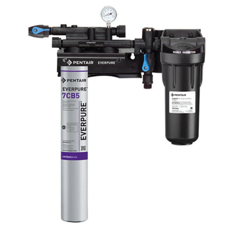 Everpure EV9797-21 Kleensteam II Single System for Steam Applications