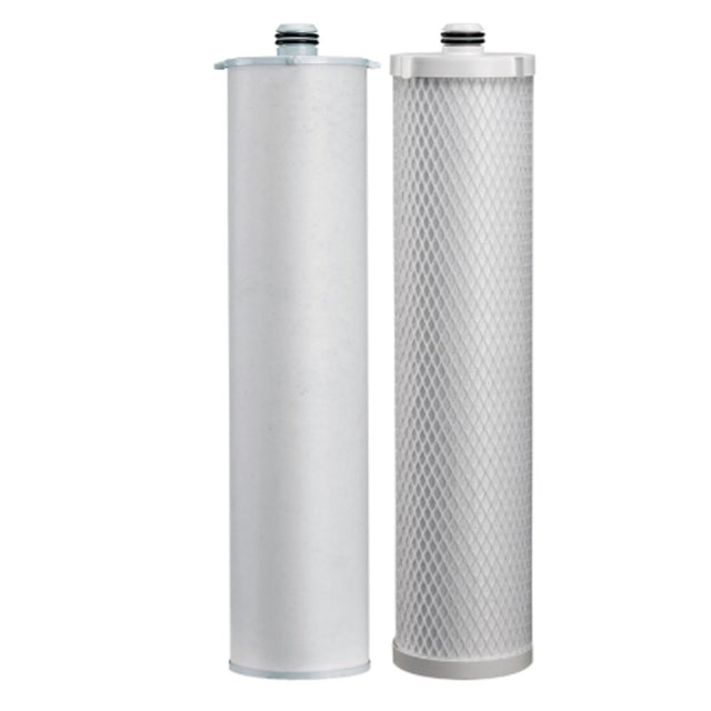 Pentair CC1E & CC3E Cartrdige Set for CB20-302E