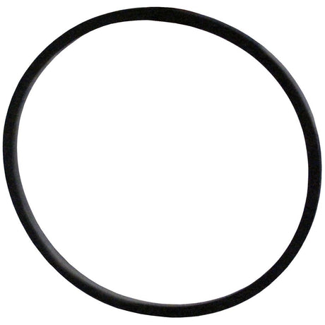 O-Ring for AP200 / AP210 Housing
