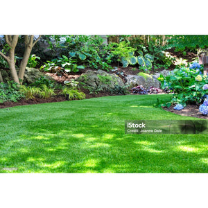 American Hydro Systems Spring Garden Care Starter Bundle, RR1 + NS2 + 2655