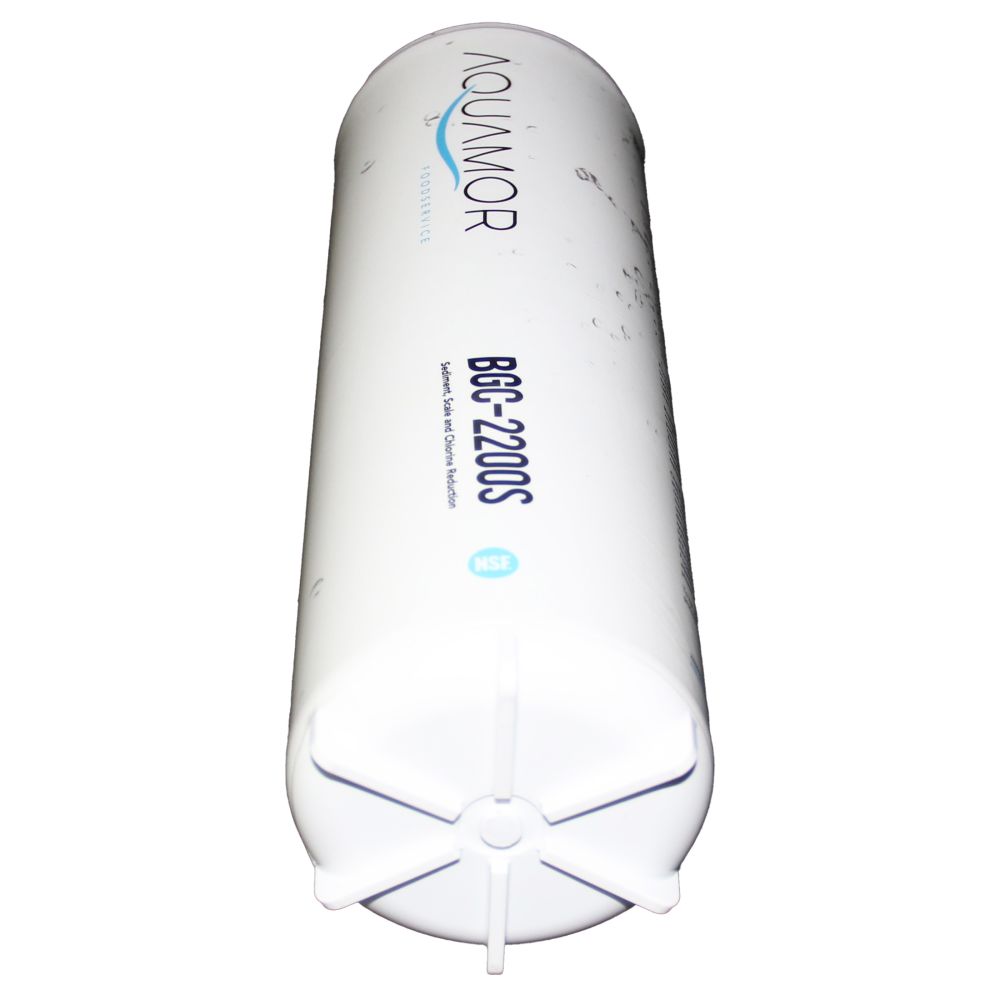 BevGuard BGC-2200S 5 Micron CTO/Rust/Scale Filter