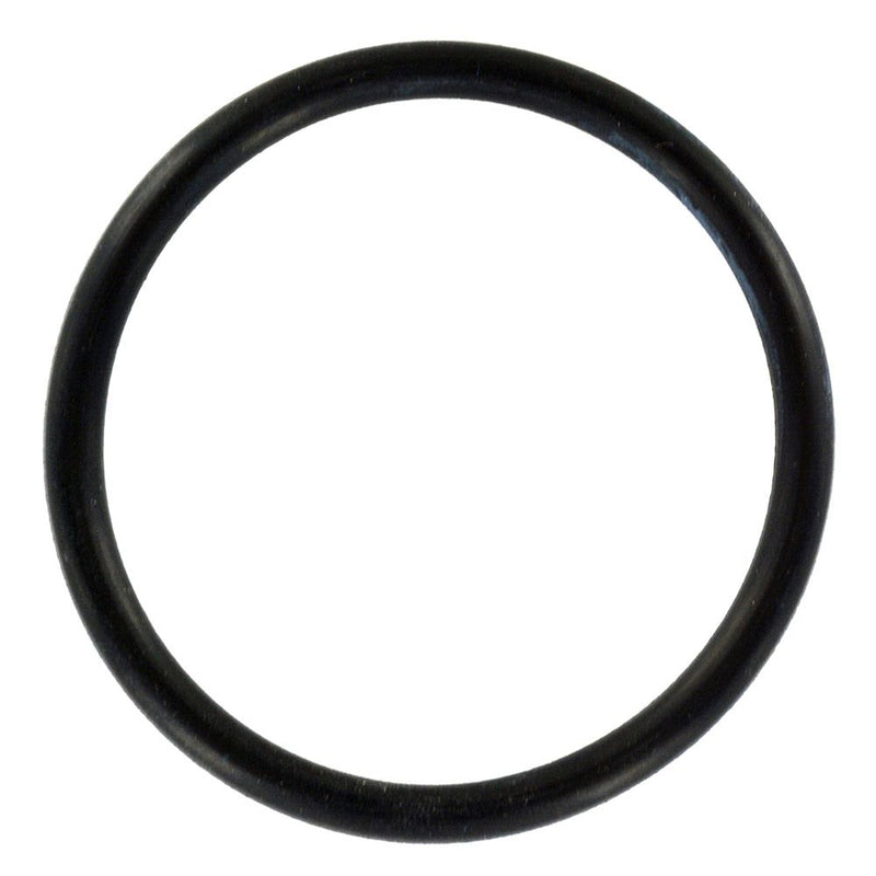 Coupler O-Ring for Watts® Big Bubba® Filter Housing BBH-150