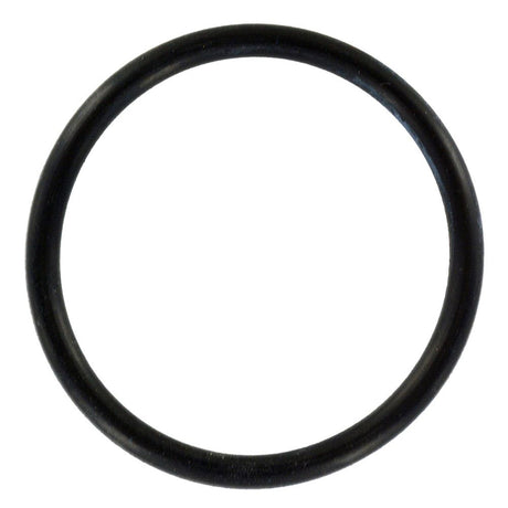 Coupler O-Ring for Watts® Big Bubba® Filter Housing BBH-150