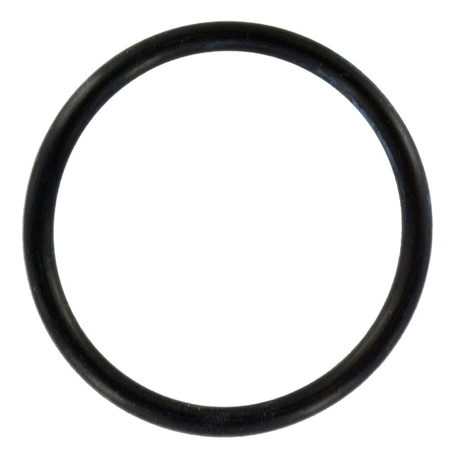 Coupler O-Ring for Watts® Big Bubba® Filter Housing BBH-150