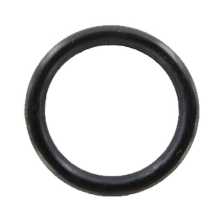 O-Ring for AS568A-213 Silicon FDA