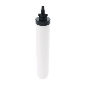 AquaCera W9511304 10" CeraPlus Ceramic Filter Candle Long Mount