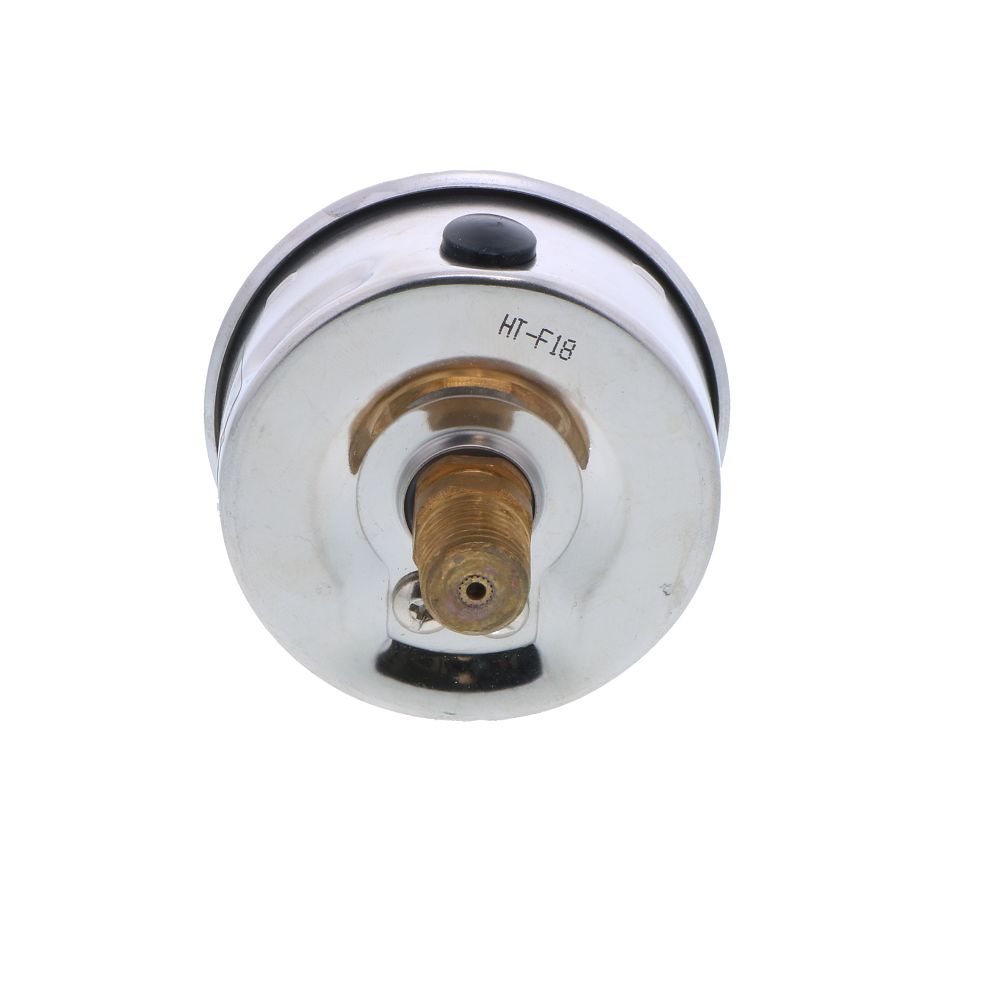 Water Pressure Gauge 160 PSI, 1/4" MPT, 2.5" Plastic Dial, Center Mount, SS Case