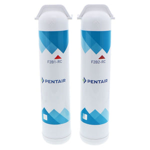 Pentair Freshpoint F2B2-RC2 Replacement VOC Cartridge Filter Twin-Pack
