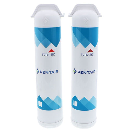 Pentair Freshpoint F2B2-RC2 Replacement VOC Cartridge Filter Twin-Pack