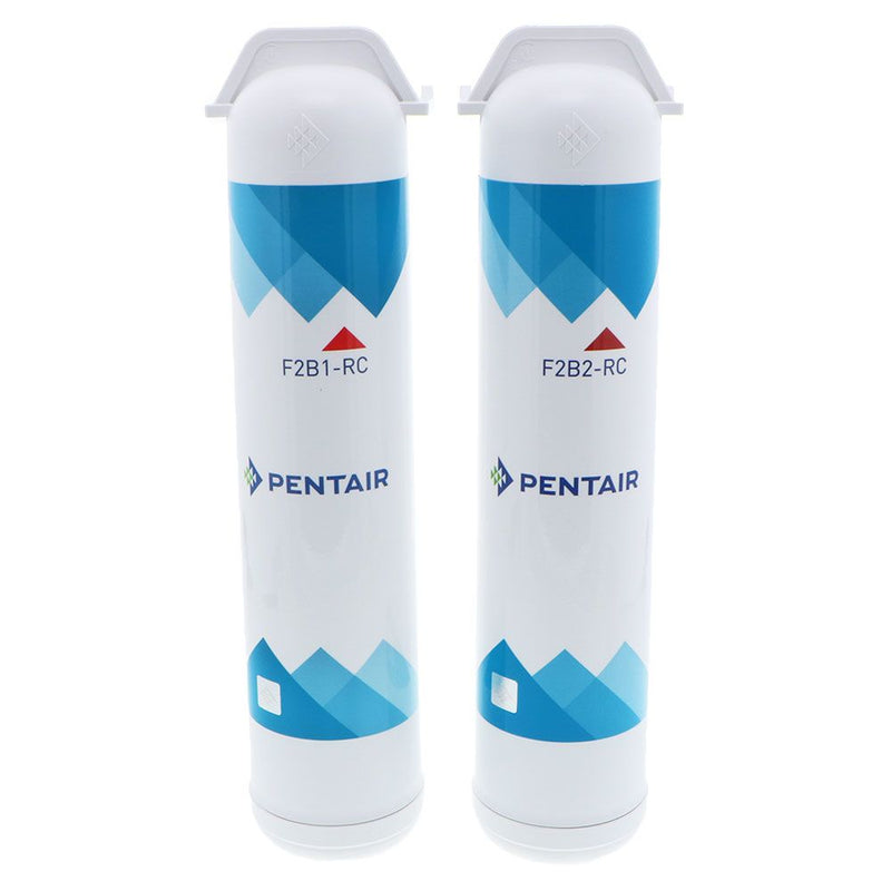 Pentair Freshpoint F2B2-RC2 Replacement VOC Cartridge Filter Twin-Pack